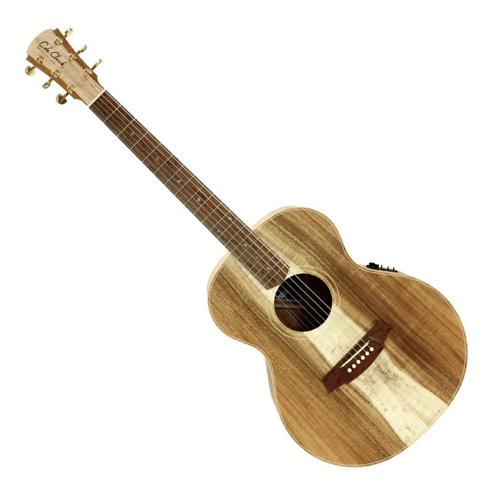 Cole Clark - AN2E All Blackwood - Left Handed | CC240615030