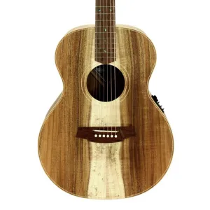 Cole Clark - AN2E All Blackwood - Left Handed | CC240615030