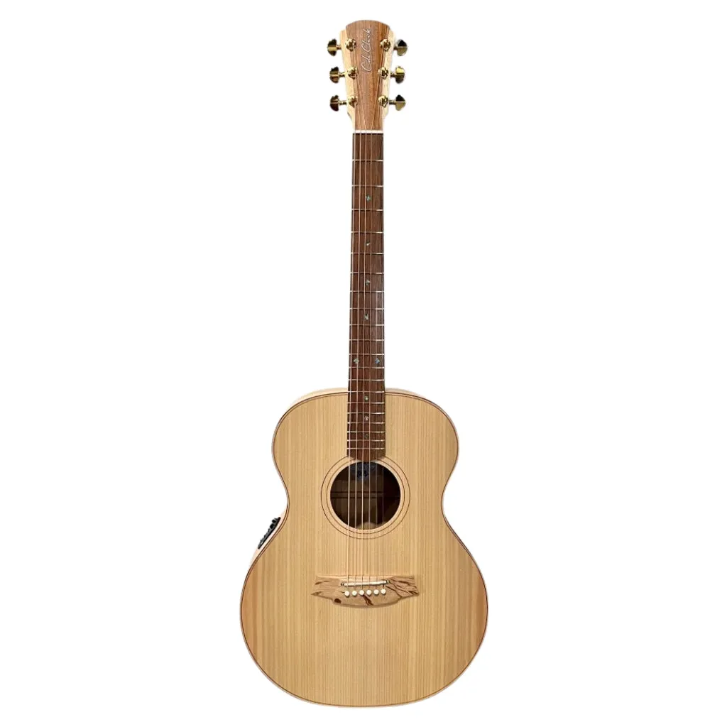 Cole Clark AN2E - Bunya Maple