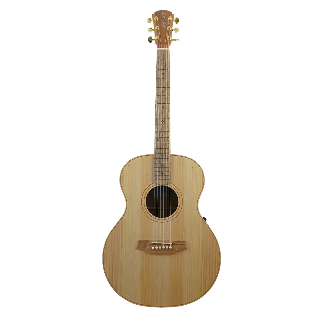 Cole Clark AN2E LH - Bunya Top, Maple B&S
