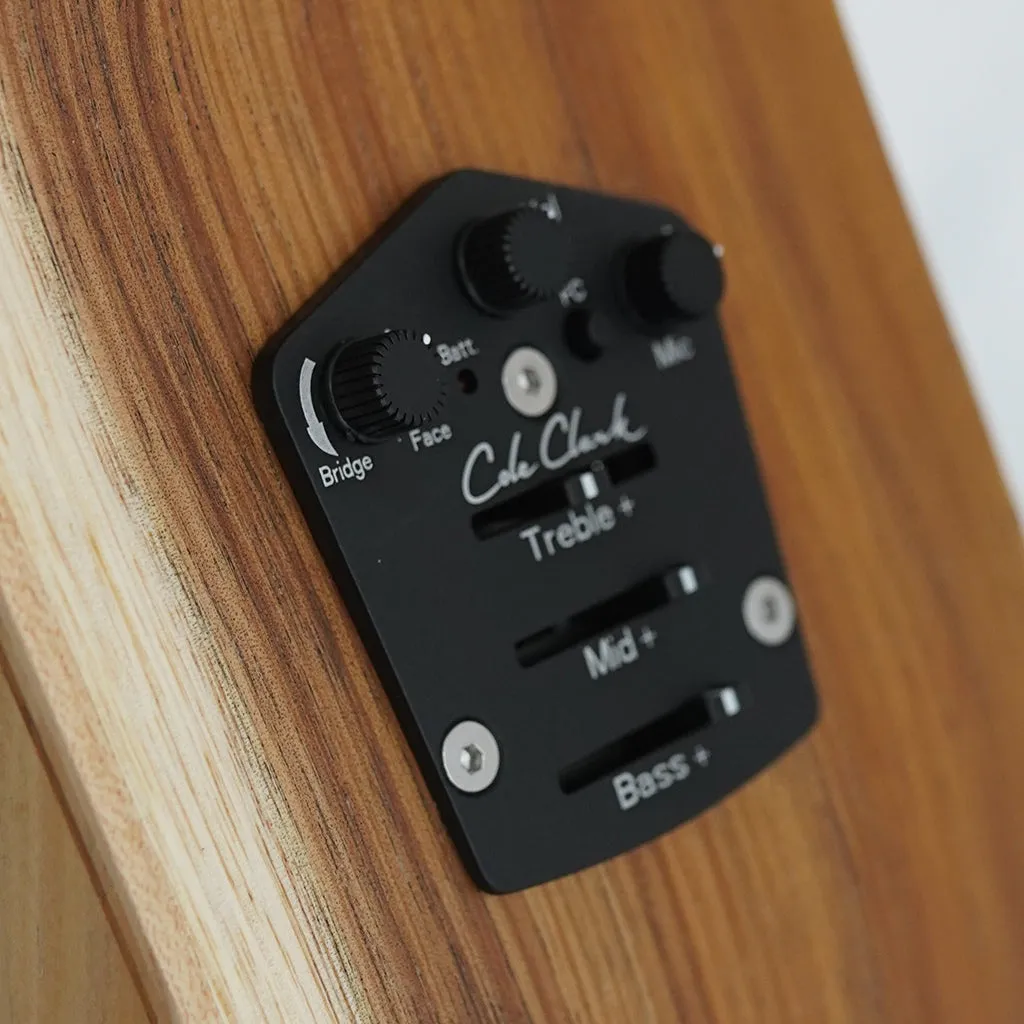 Cole Clark AN2E LH - Bunya Top, Maple B&S