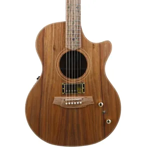 Cole Clark AN2EC-BLBL Humbucker - All Blackwood
