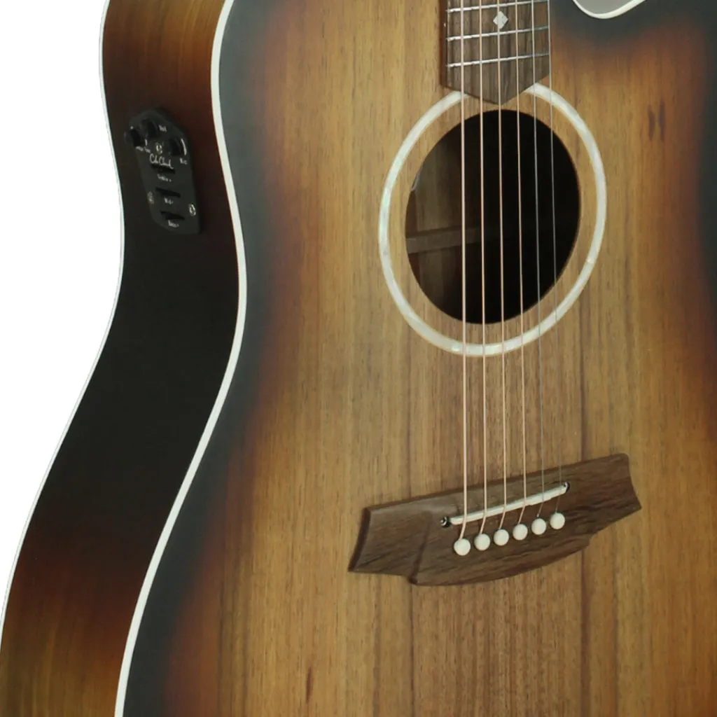 Cole Clark FL2EC - All Blackwood - Sunburst