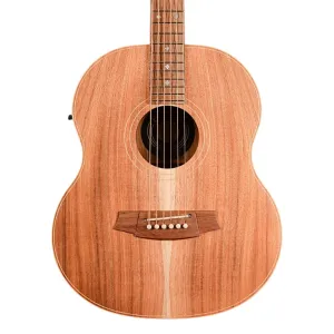 Cole Clark LL2E-BLBL Little Lady 2E Acoustic Guitar - All Blackwood