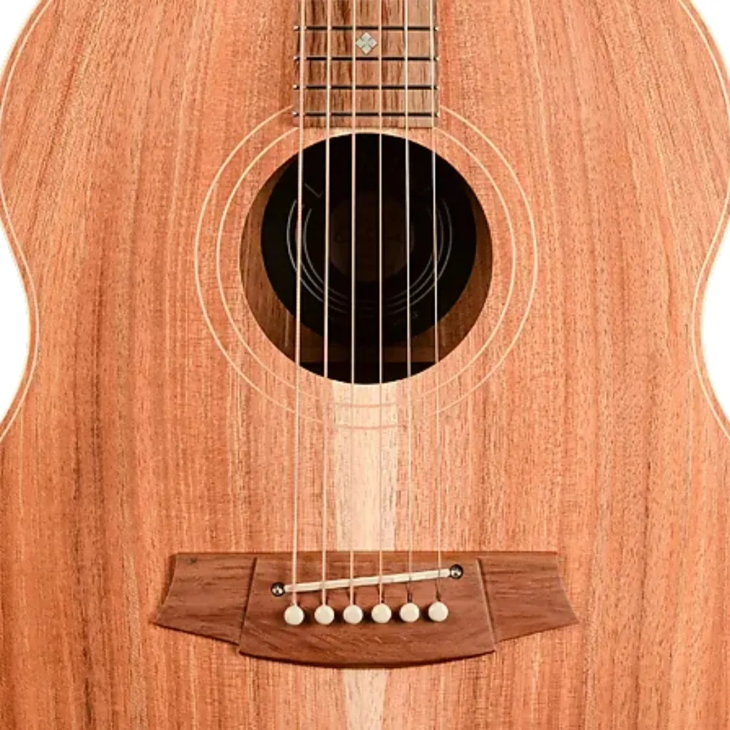 Cole Clark LL2E-BLBL Little Lady 2E Acoustic Guitar - All Blackwood