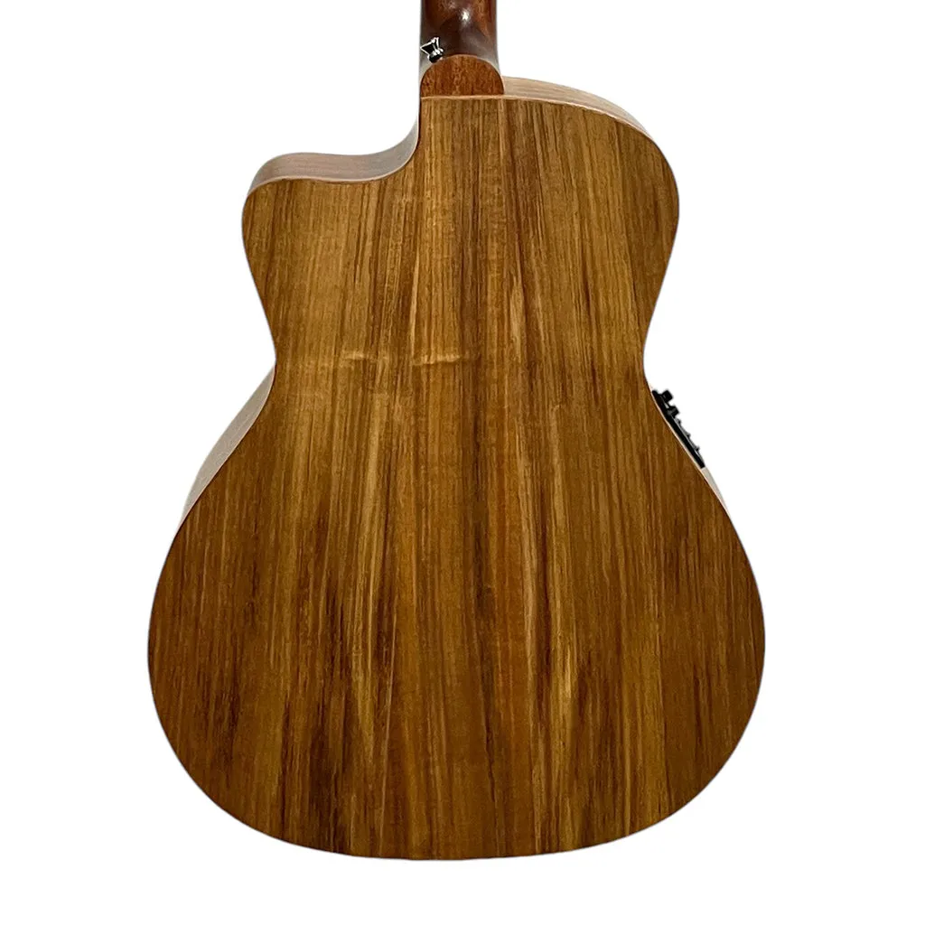 Cole Clark SAN1EC-BLBL Studio Grand Auditorium All Blackwood