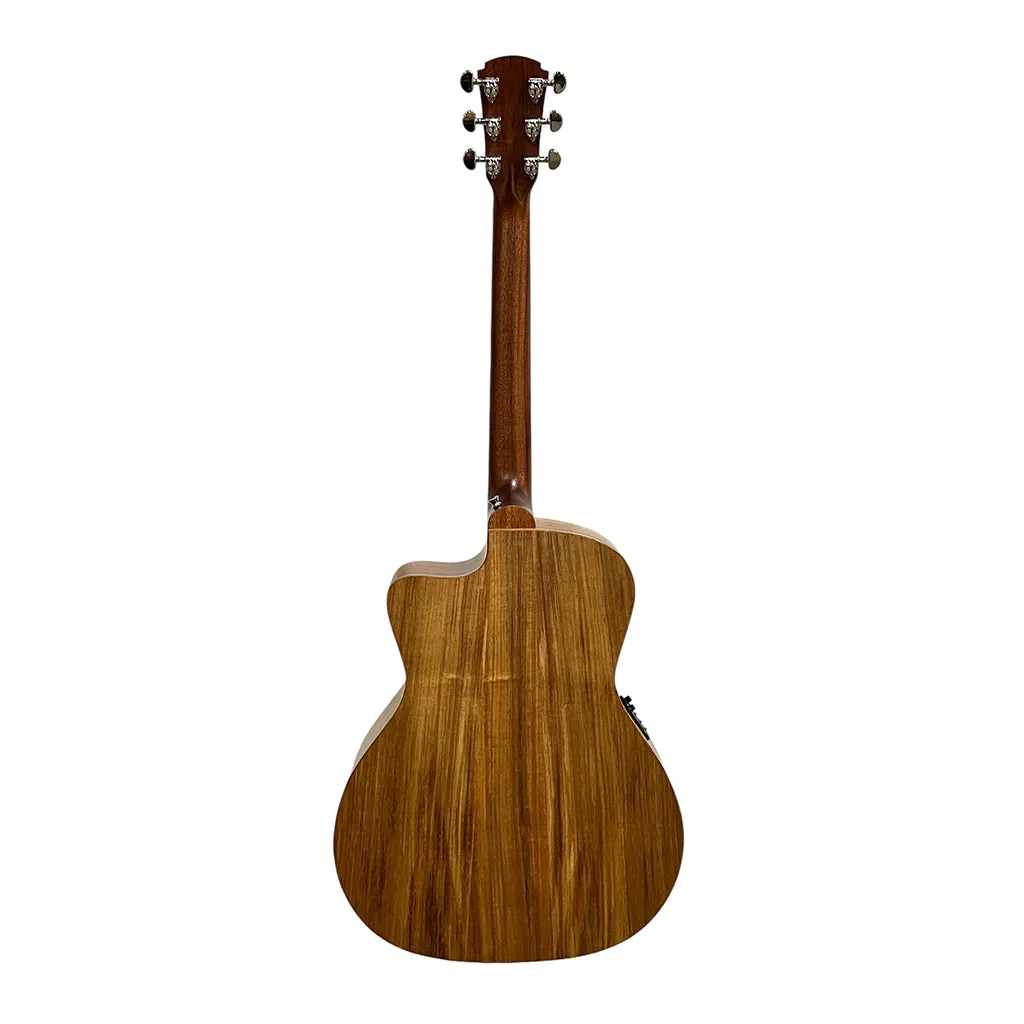 Cole Clark SAN1EC-BLBL Studio Grand Auditorium All Blackwood