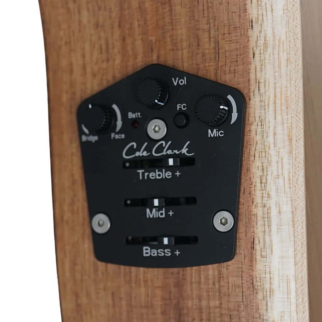 Cole Clark TL2EC All Blackwood HSS