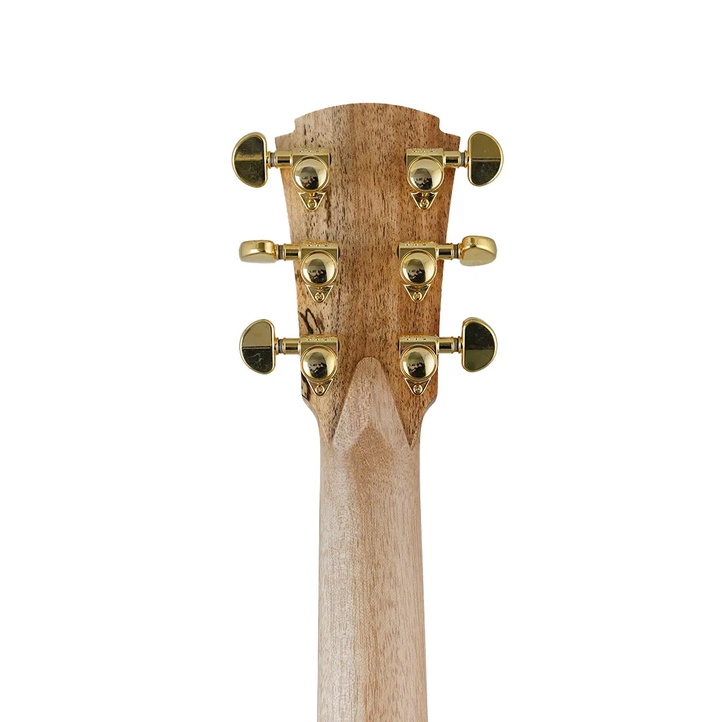 Cole Clark TL2EC All Blackwood HSS