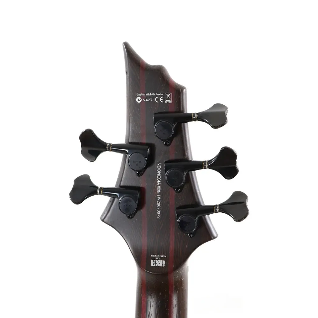 ESP LTD B-1005 Bass Guitar - Natural Satin