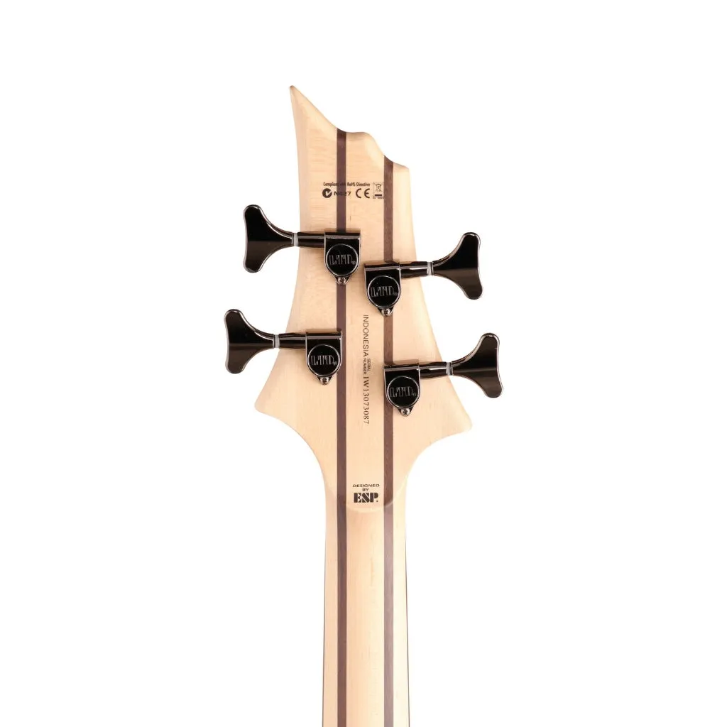 ESP LTD B-204SM Bass Guitar - Natural Satin