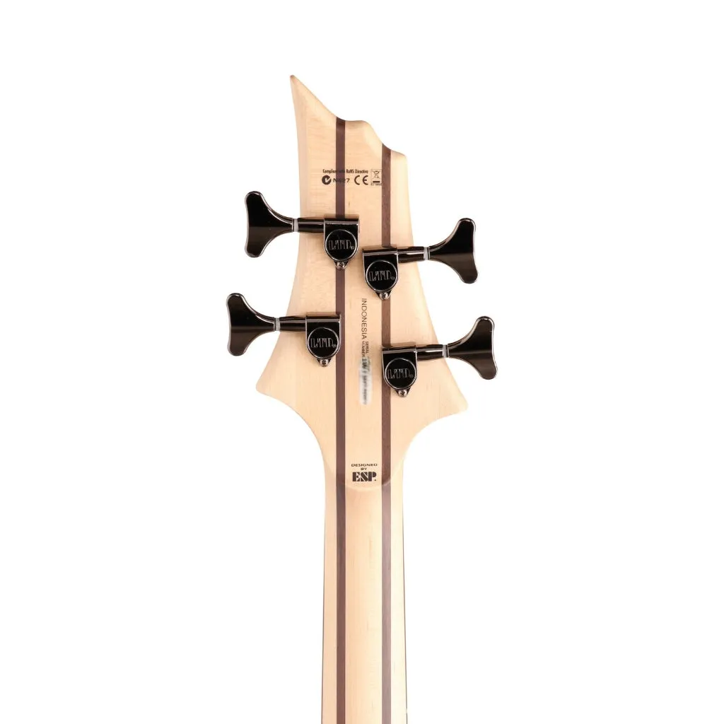 ESP LTD B-204SM Fretless Bass Guitar - Natural Satin