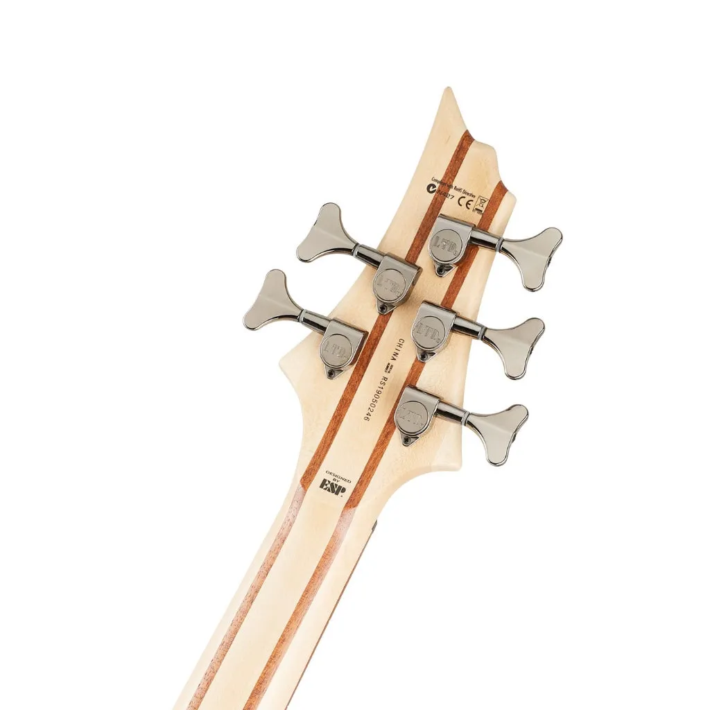 ESP LTD B-205SM 5-String Fretless Bass Guitar - Natural Satin