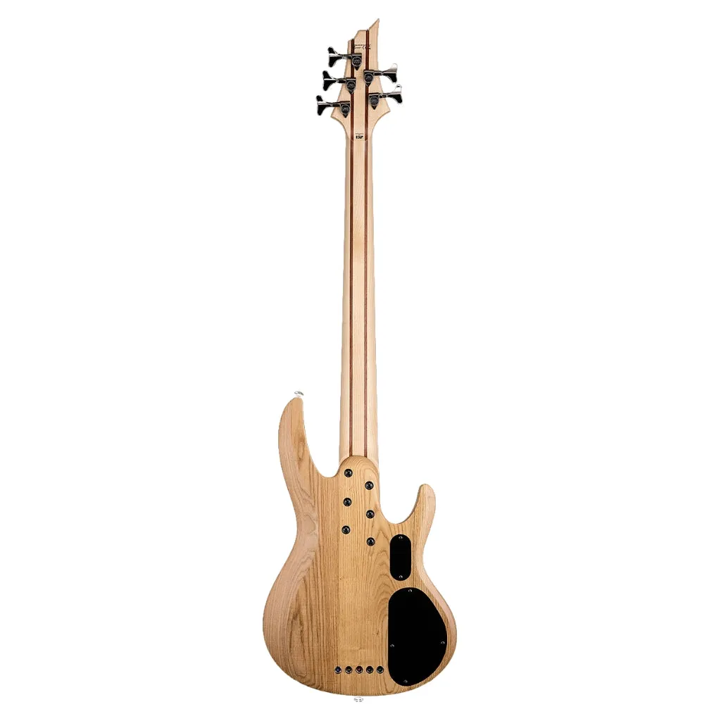 ESP LTD B-205SM 5-String Fretless Bass Guitar - Natural Satin