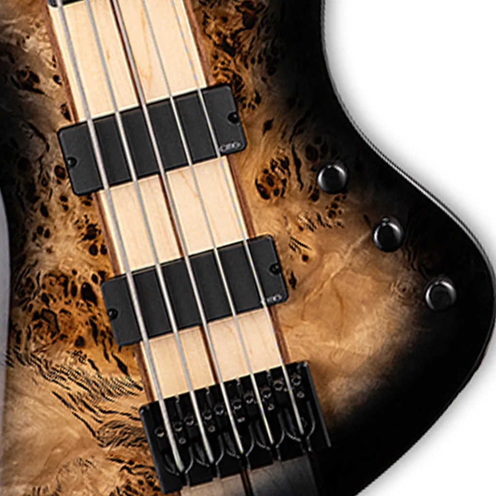 ESP LTD Stream 1005 Exotic Top NAT Burst
