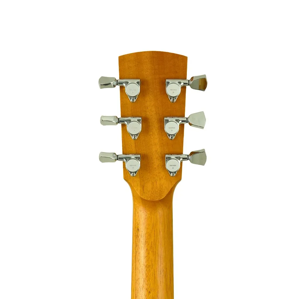 Fenech VT D78 Cutaway - Camphor B&S