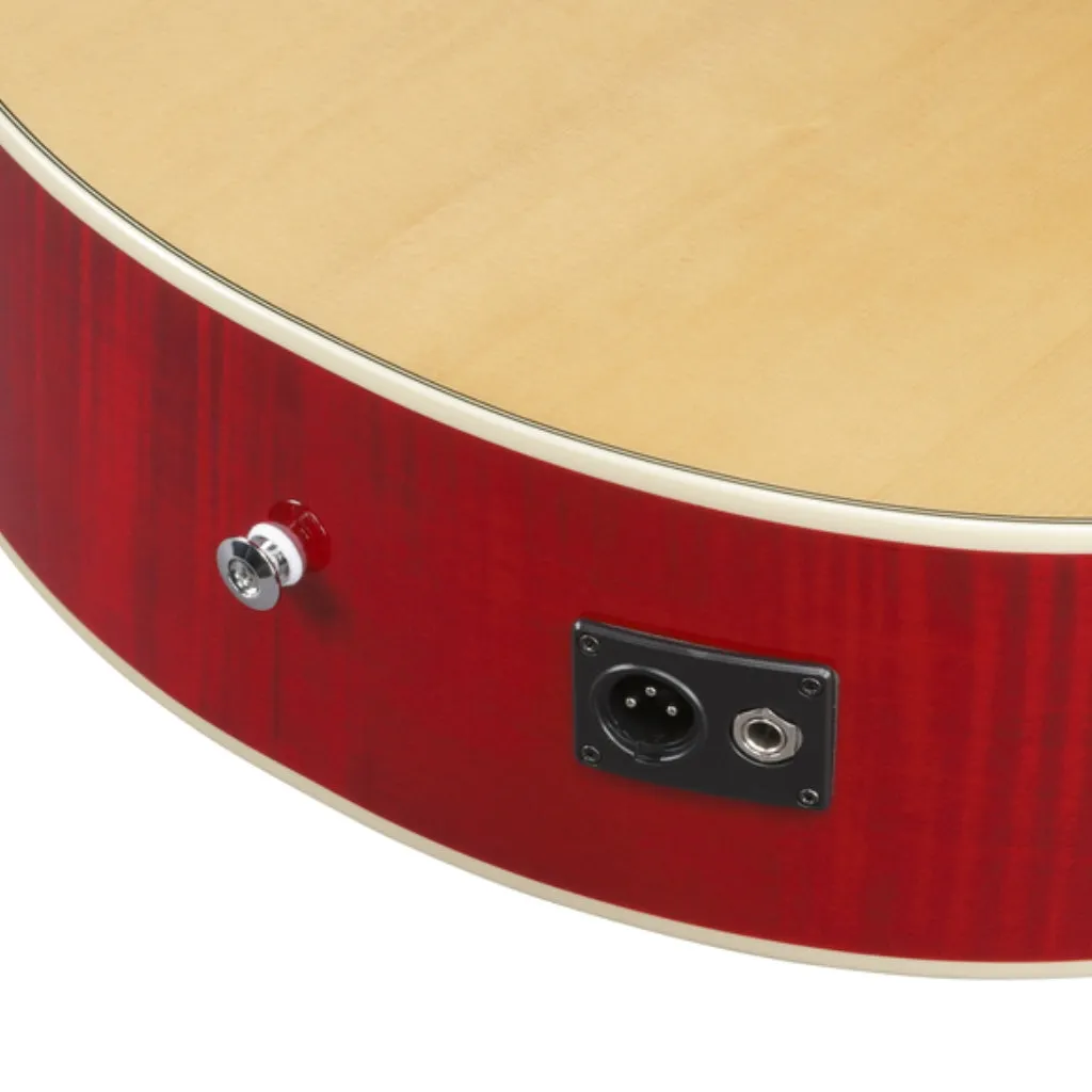 Ibanez AE170N Natural High Gloss Top Transparent Red High Gloss Back and Sides Acoustic Guitar