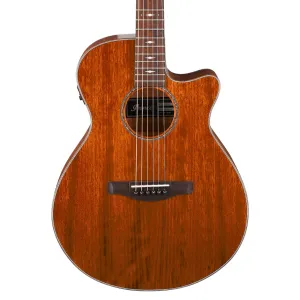 Ibanez AEG220 AEG Acoustic Guitar - Natural Low Gloss