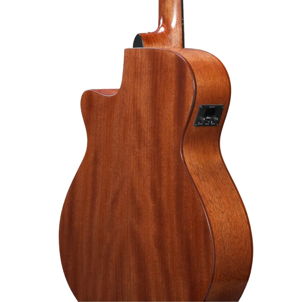 Ibanez AEG220 AEG Acoustic Guitar - Natural Low Gloss