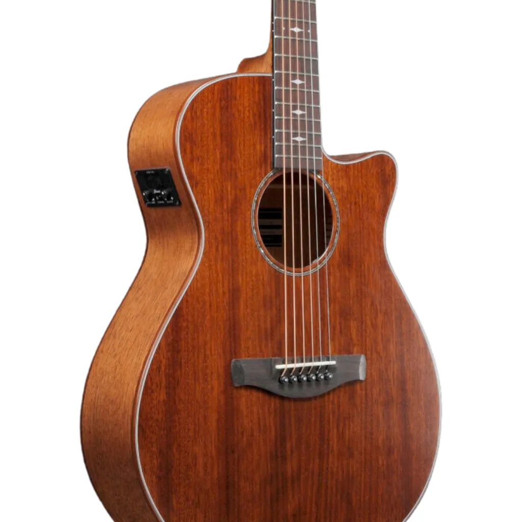 Ibanez AEG220 AEG Acoustic Guitar - Natural Low Gloss