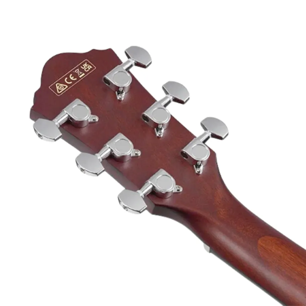 Ibanez AEG50 Black Aurora Burst Matte Electro Acoustic Guitar