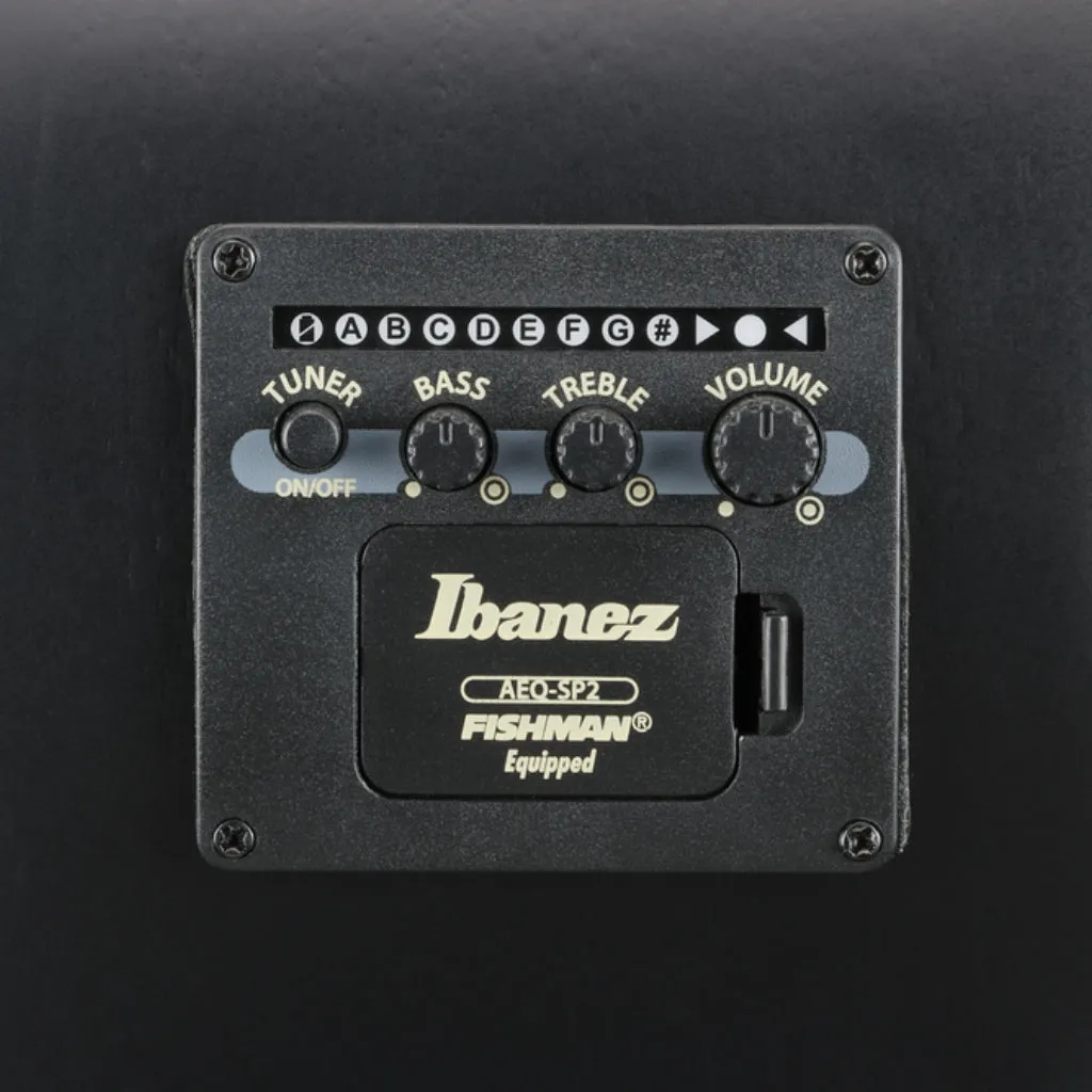 Ibanez AEG721 7-Strings Acoustic Guitar - Black Out
