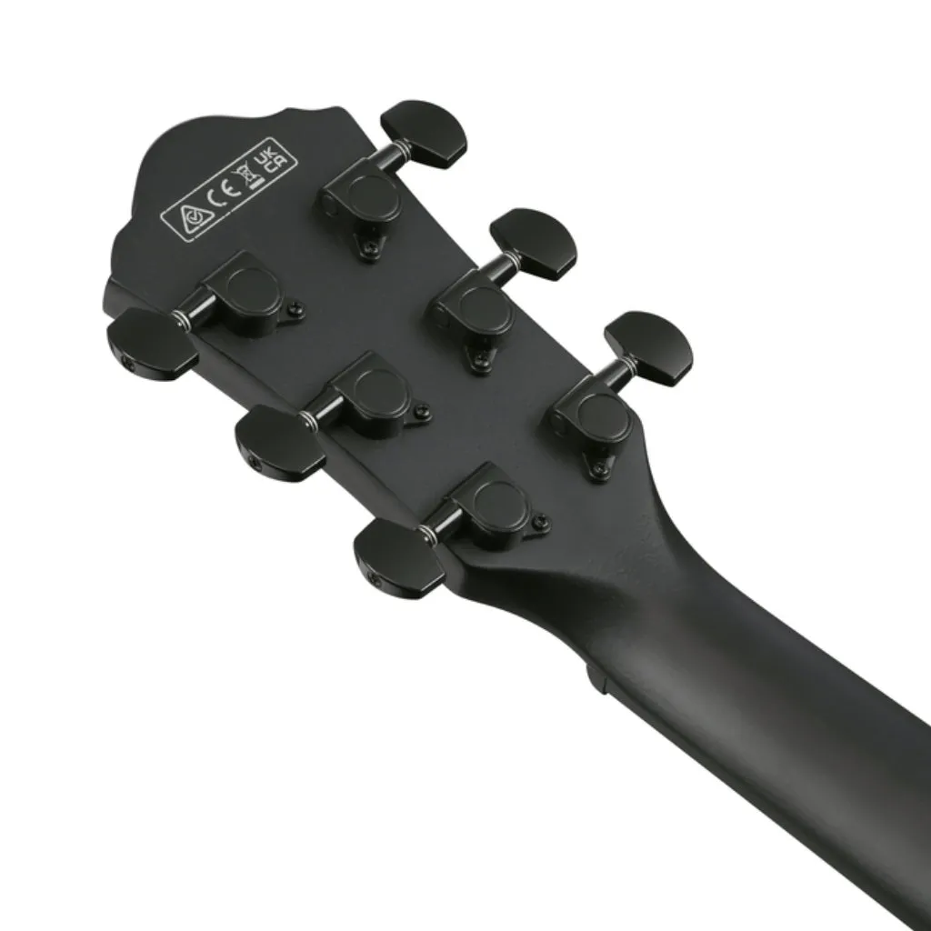 Ibanez AEWC621 Acoustic Guitar - Black Out