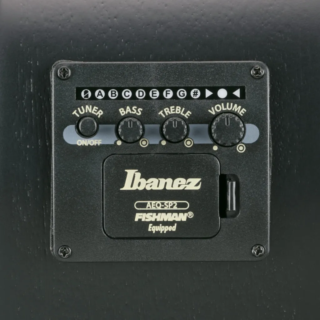 Ibanez AEWC621 Acoustic Guitar - Black Out