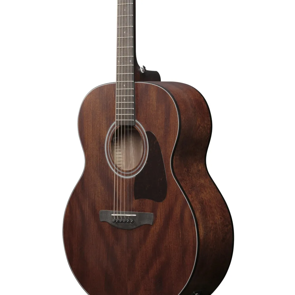 Ibanez AJ54E Acoustic Guitar - Open Pore Natural