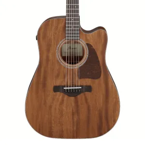 Ibanez AW1040CE Acoustic Guitar All Solid - Open Pore Natural