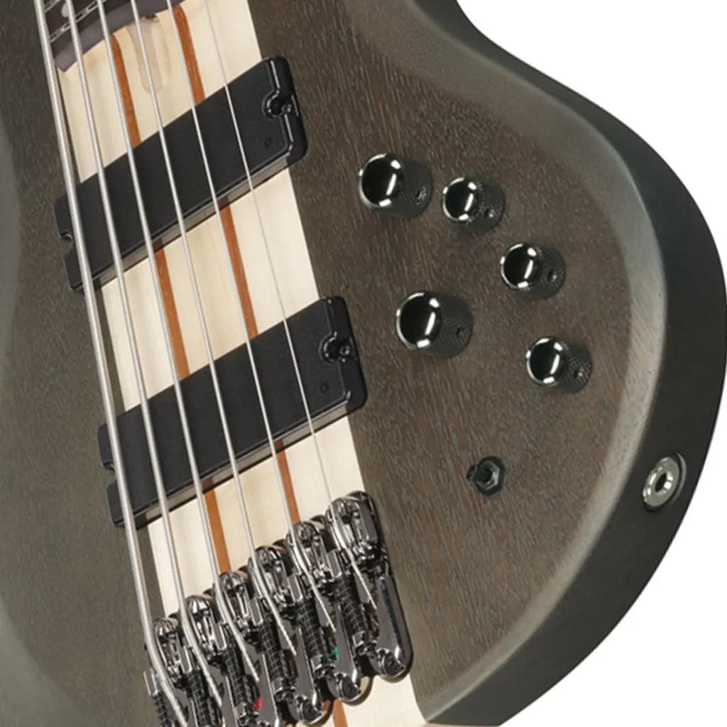 Ibanez BTB606 Transparent Gray Flat 6 String Electric Bass