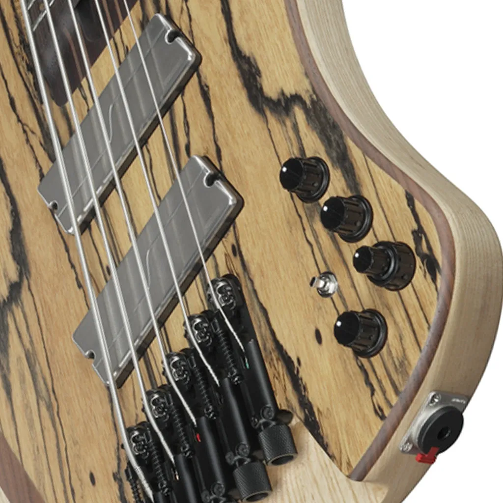 Ibanez EHB1675MS 5-String Bass with Fishman Fluence Pickups and Gig Bag - Natural Flat