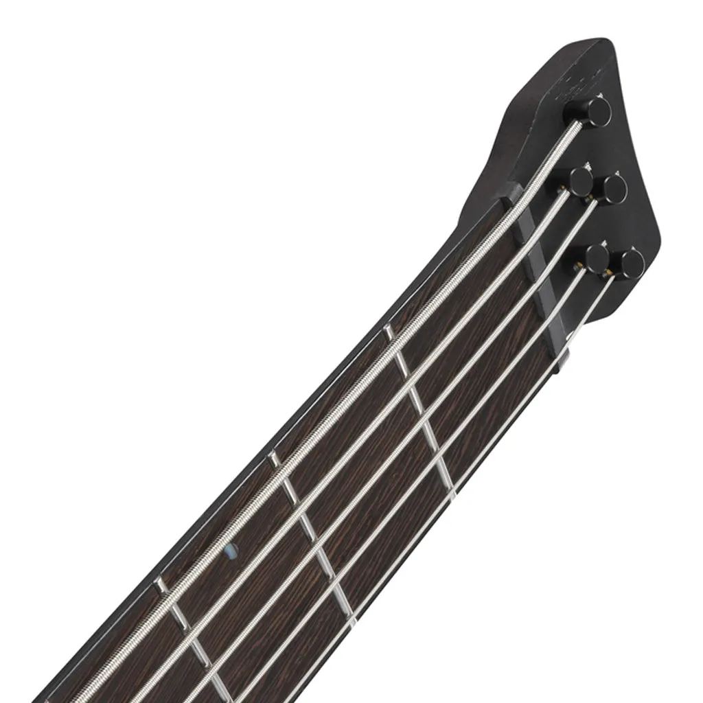 Ibanez EHB1675MS 5-String Bass with Fishman Fluence Pickups and Gig Bag - Natural Flat