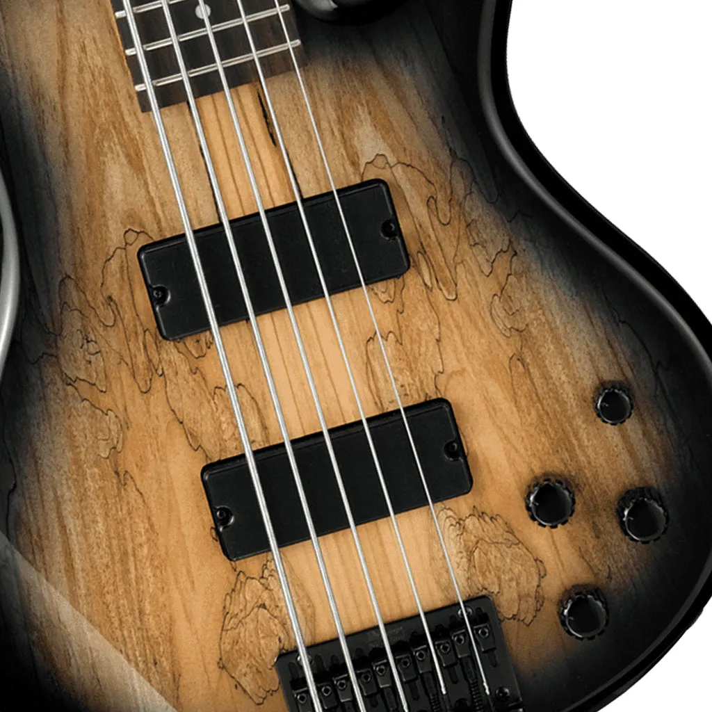 Ibanez GSR205SM - Natural Grey Burst