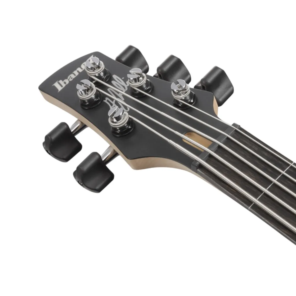 Ibanez GWB25THSWF 5 String Electric Bass Guitar Silver Wave Burst Flat