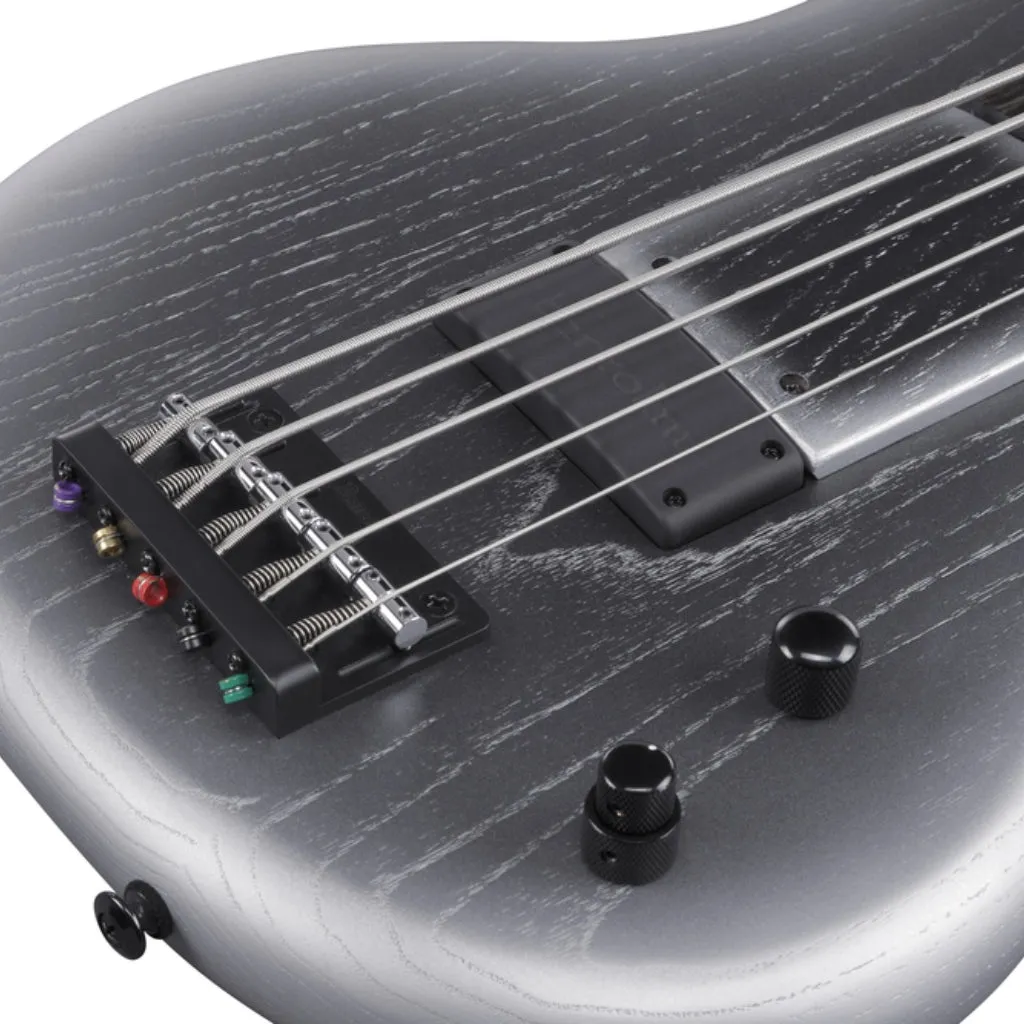 Ibanez GWB25THSWF 5 String Electric Bass Guitar Silver Wave Burst Flat