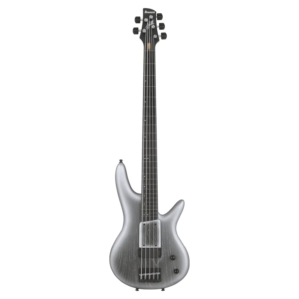 Ibanez GWB25THSWF 5 String Electric Bass Guitar Silver Wave Burst Flat