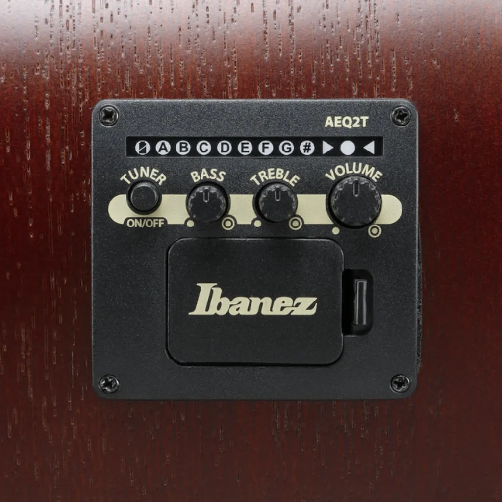 Ibanez PJ50E Open Pore Vintage Amber Sunburst Top, Open Pore Natural Back and Sides Acoustic Guitar