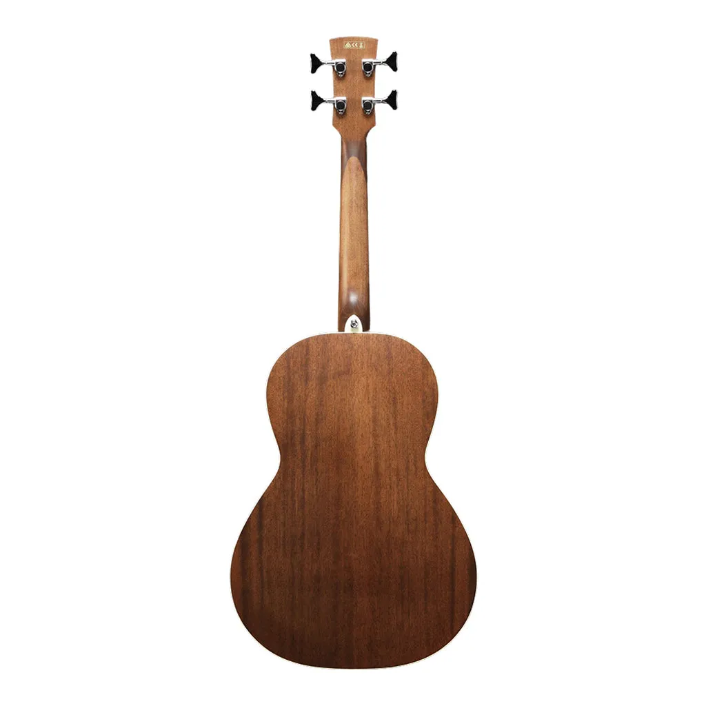 Ibanez PNB14E OPN Acoustic Bass Guitar