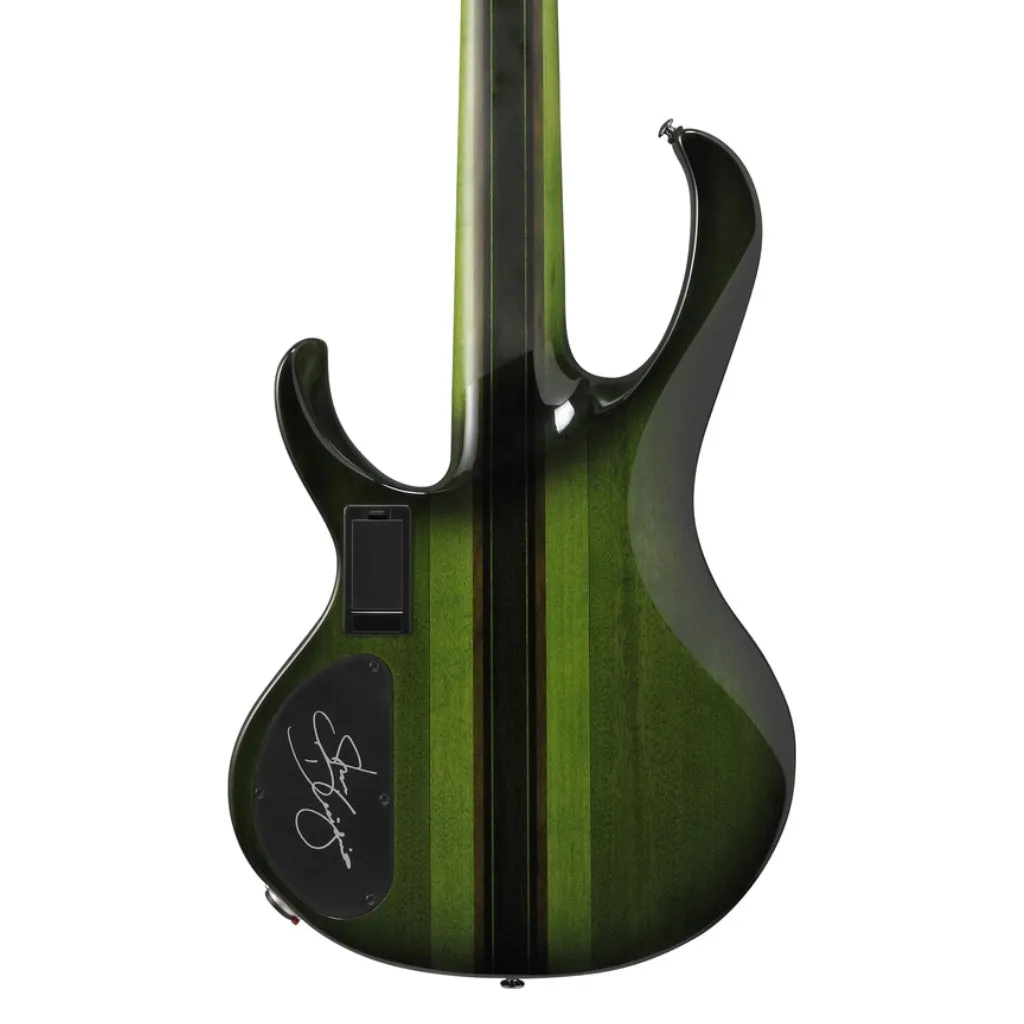 Ibanez SDGB1DMT 5 String Electric Bass Guitar Dark Moss Burst
