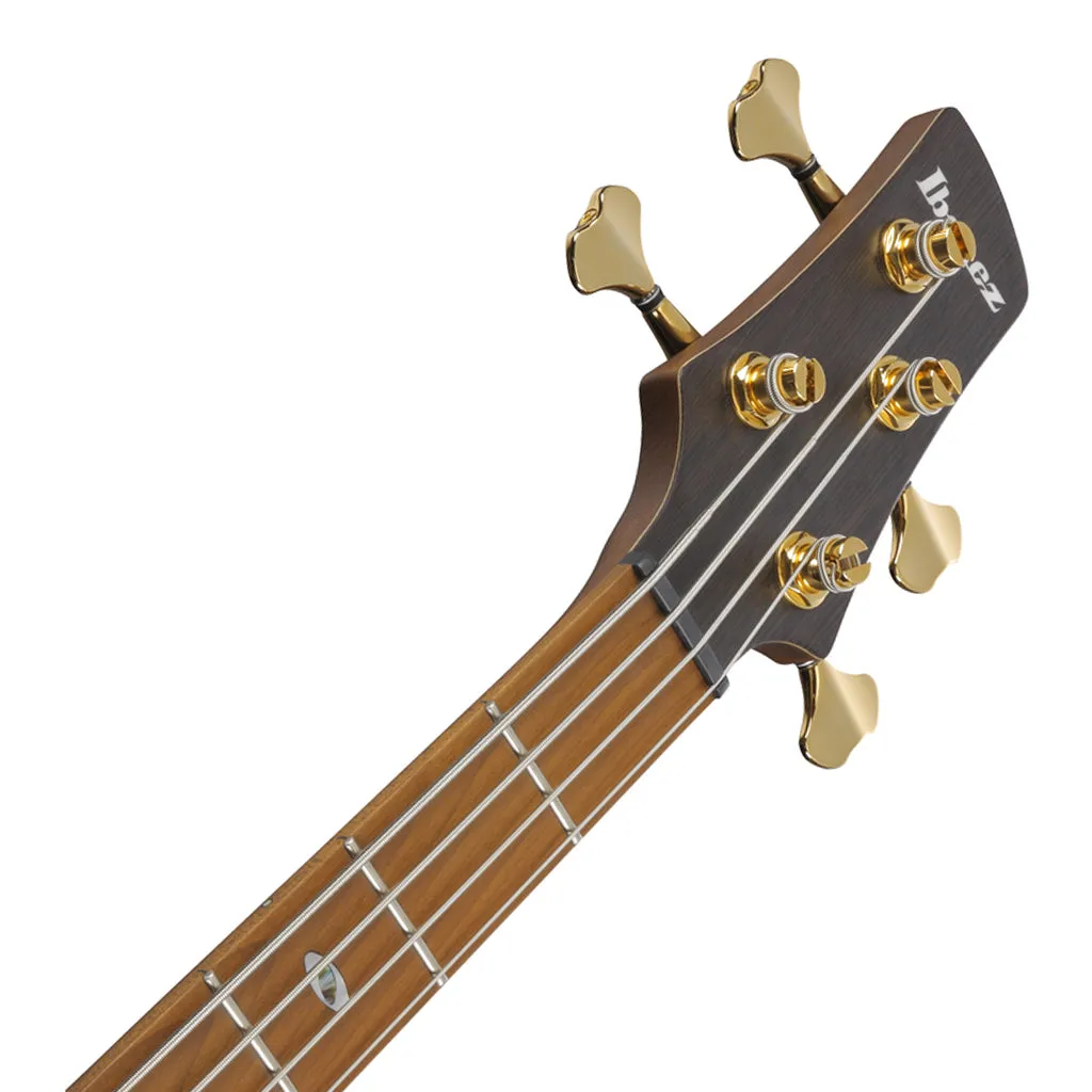 Ibanez SR4500 Prestige Bass Ash Body and Case - Desert Sunset Burst