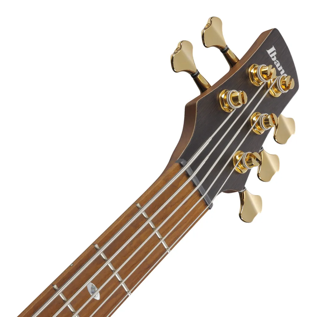 Ibanez SR4505 5-String Bass Ash Body with Roasted Maple Fretboard and Case - Desert Sunset Burst