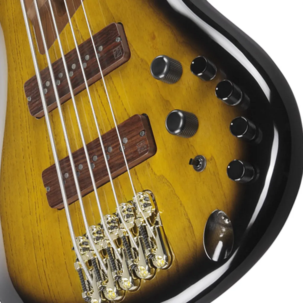 Ibanez SR4505 5-String Bass Ash Body with Roasted Maple Fretboard and Case - Desert Sunset Burst