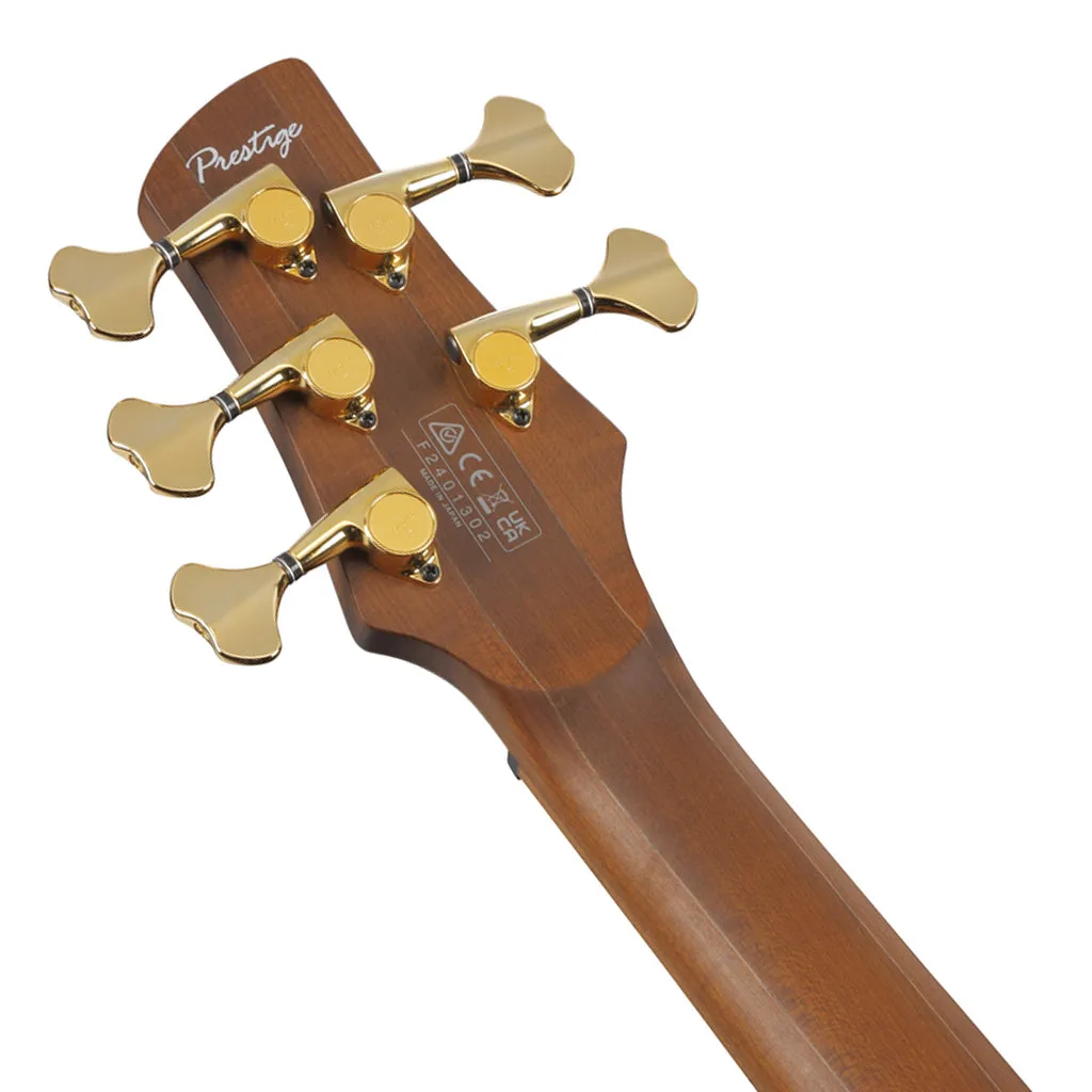 Ibanez SR4505 5-String Bass Ash Body with Roasted Maple Fretboard and Case - Desert Sunset Burst