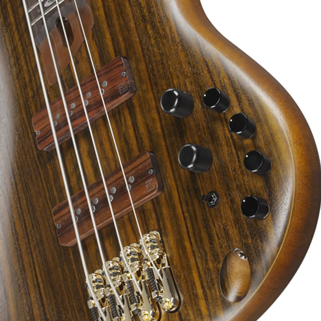 Ibanez SR5500 Prestige Bass Rosewood Fretboard and Case - Mocha Flat