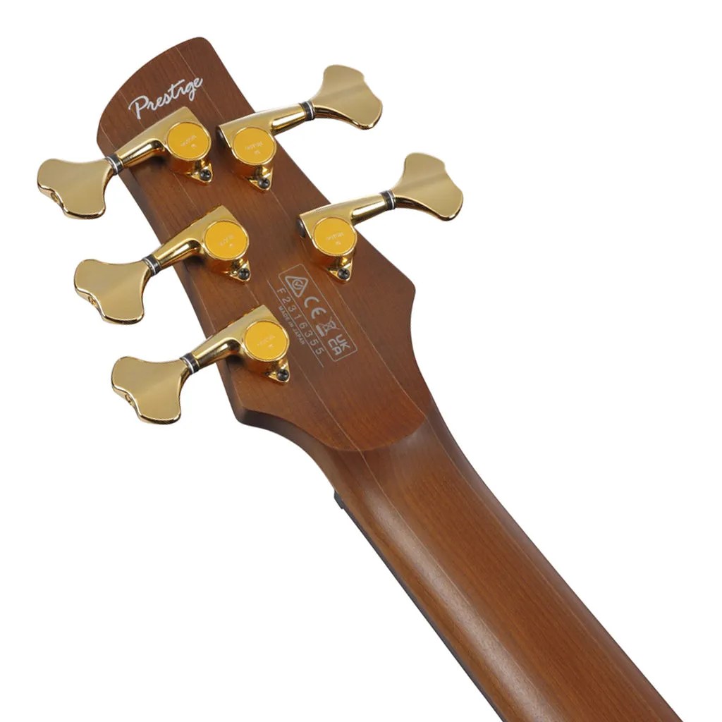Ibanez SR5505 5-String Bass Ovangkol Top with Rosewood Fretboard and Case - Mocha Flat