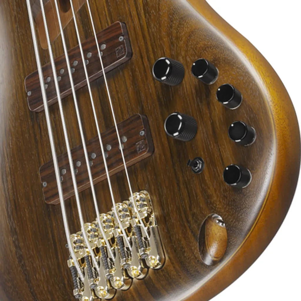 Ibanez SR5505 5-String Bass Ovangkol Top with Rosewood Fretboard and Case - Mocha Flat