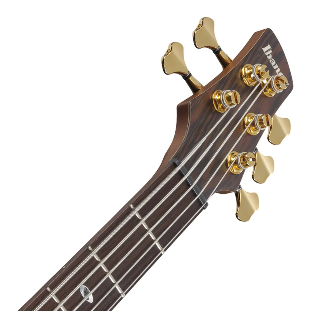 Ibanez SR5505 5-String Bass Ovangkol Top with Rosewood Fretboard and Case - Mocha Flat