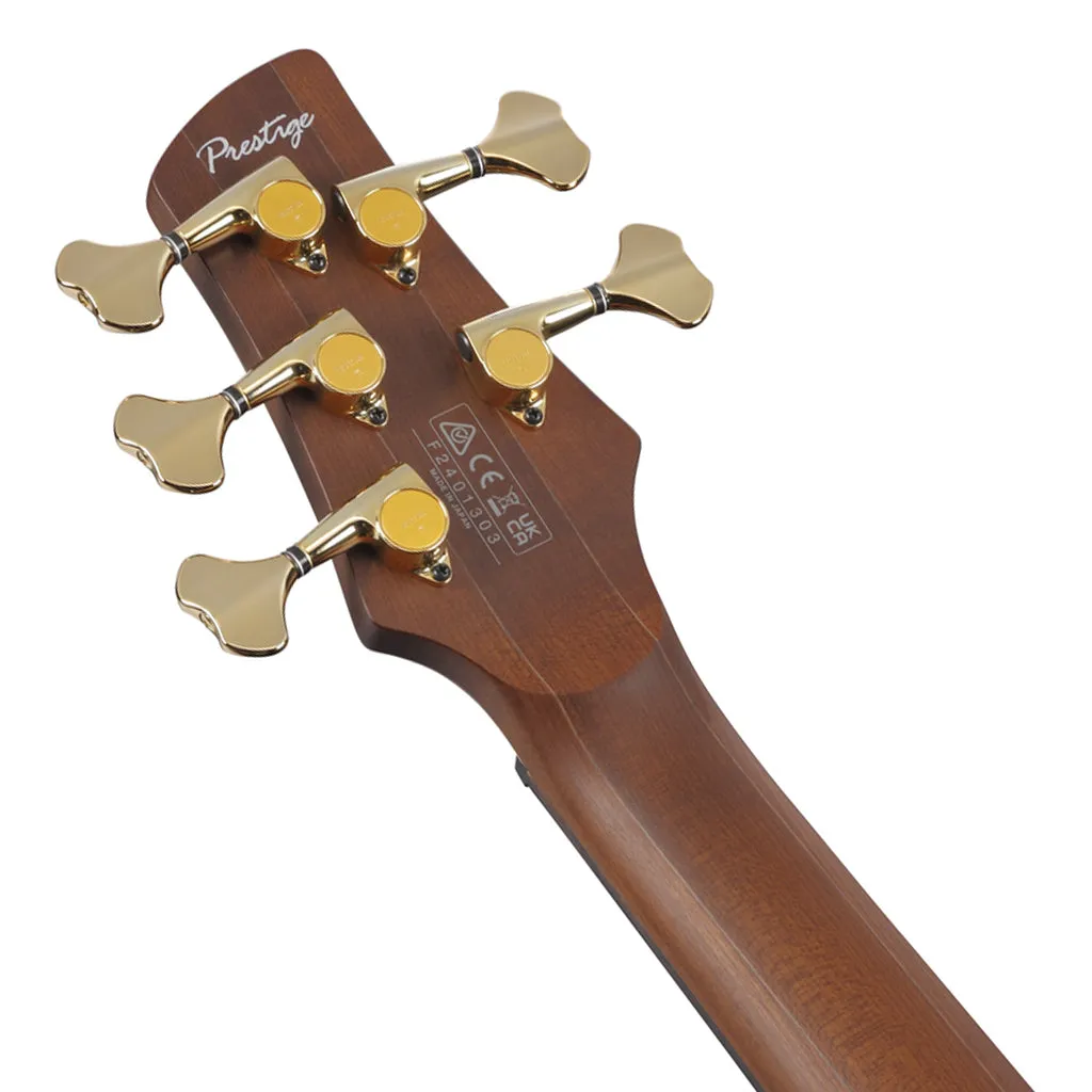 Ibanez SR6605 5-String Bass Mappa Burl Top with Rosewood Fretboard and Case - Ghost Fleet Blue Burst