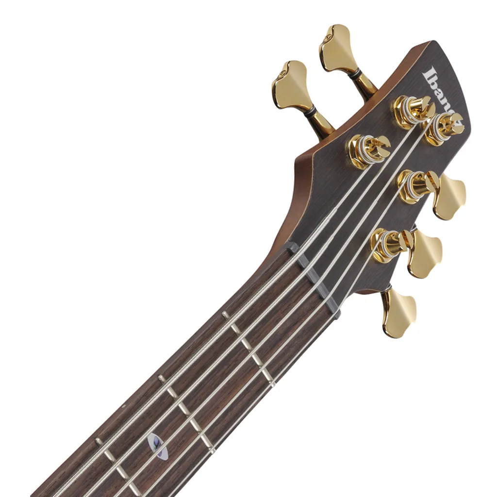 Ibanez SR6605 5-String Bass Mappa Burl Top with Rosewood Fretboard and Case - Ghost Fleet Blue Burst